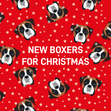 Boxers for Christmas - 1