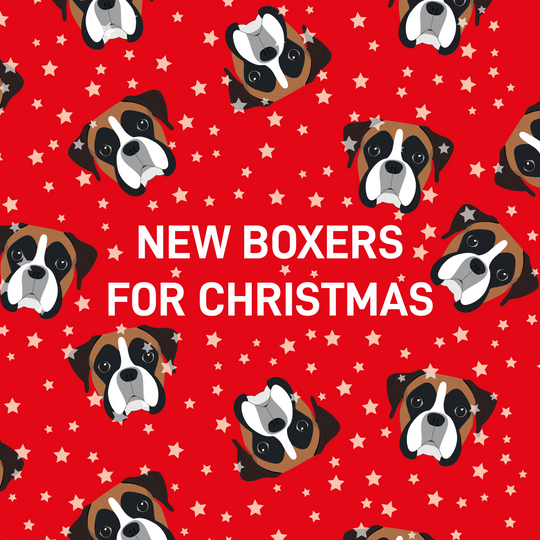 Boxers For Christmas Card