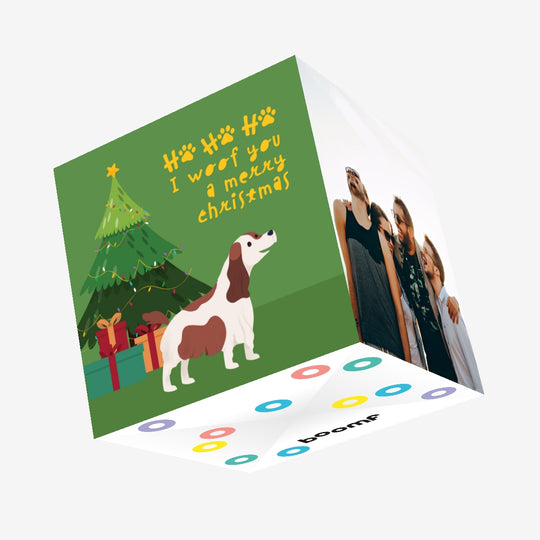 I Woof You A Merry Christmas Springer Spaniel Confetti-exploding Greetings Card