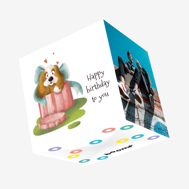 Springer Spaniel Happy Birthday Confetti-exploding Greetings Card