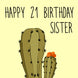 As Prickly As Hugging A Cactus Happy 21th Birthday Sister