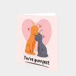 You're Purrfect Card
