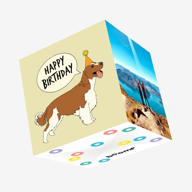 Springer Spaniel Happy Birthday Confetti-exploding Greetings Card