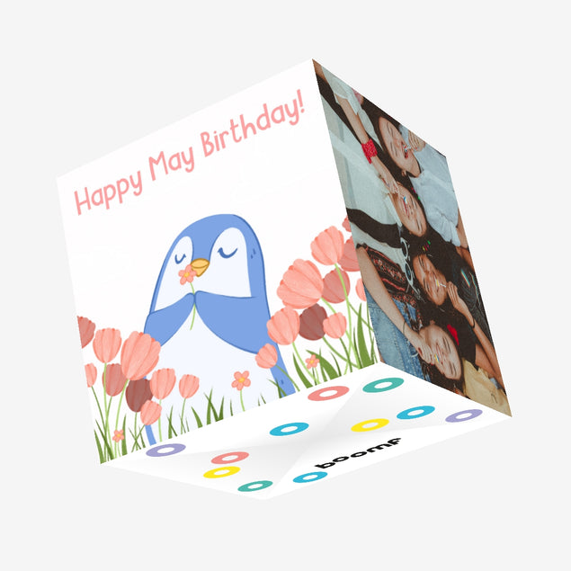 Little Penguin Happy May Birthday Confetti-exploding Greetings Card