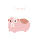 I Love You Cute Pink Guinea Pig