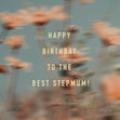 Happy Birthday Stepmum Blurry Dasies Pink
