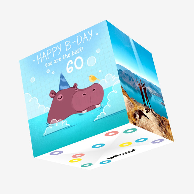 Festive Hippo Blue Background Happy 60th Birthday You're The Best Confetti-exploding Greetings Card
