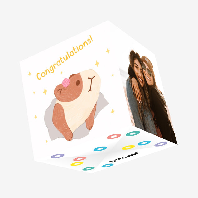 Guinea Pig Congratulations Confetti-exploding Greetings Card