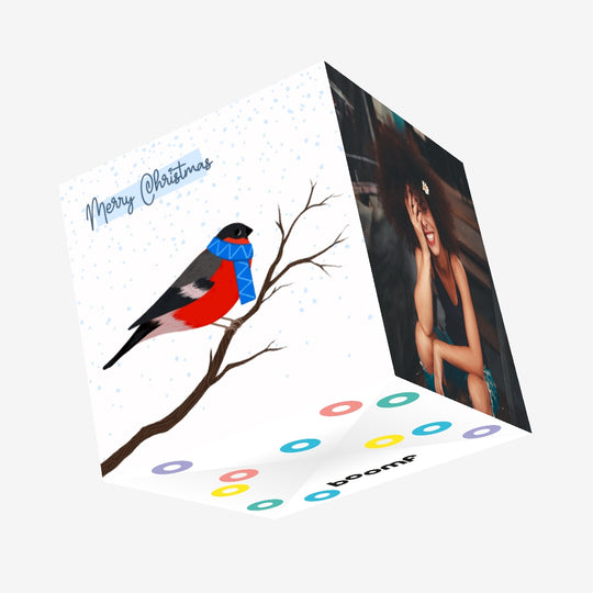Merry Christmas A Bullfinch On A Robin Confetti-exploding Greetings Card