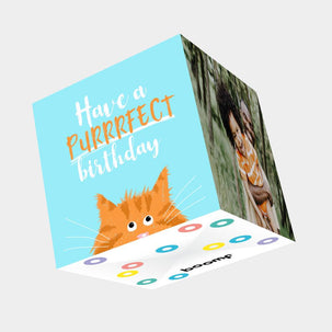 Have A Purrrfect Birthday Card 3D Cube Card