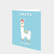 Llama Mia You did it! Card