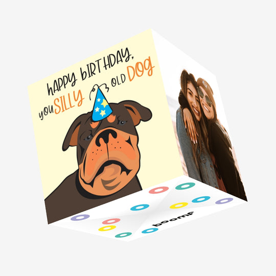 Happy Birthday You Silly Old Dog Confetti-exploding Greetings Card