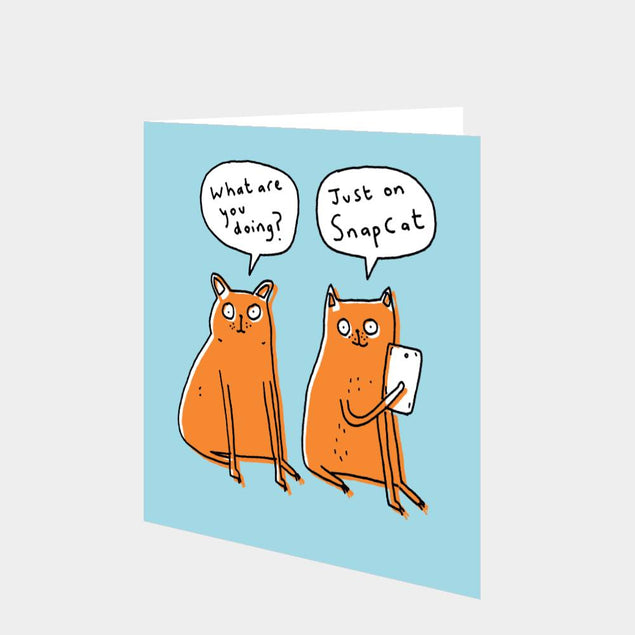 Just on Snapcat  Card