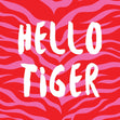Hello Tiger Bomb 3D Cube Card