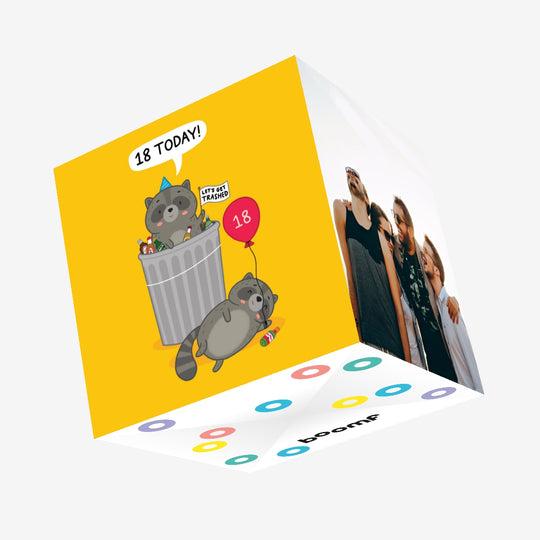 18 Today Let's Get Trashed Cute Racoons Confetti-exploding Greetings Card