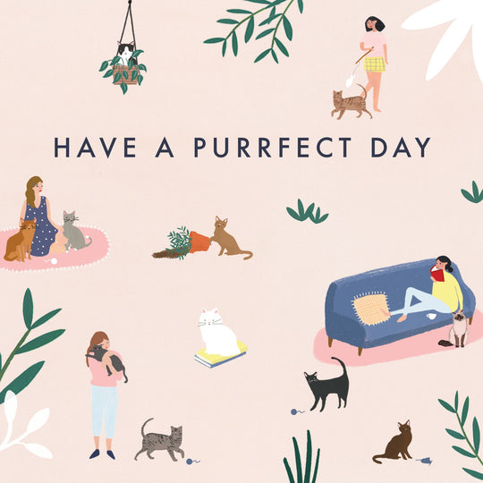 Cats Happy Birthday Card