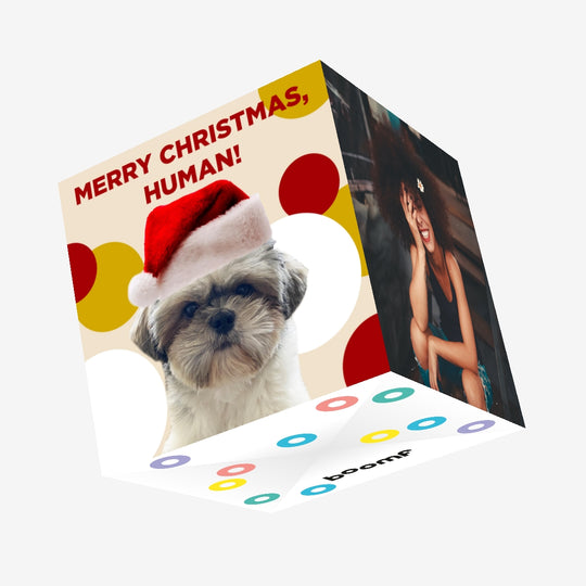 Merry Christmas Human Shih-Tzu Wearing Santa Hat Confetti-exploding Greetings Card