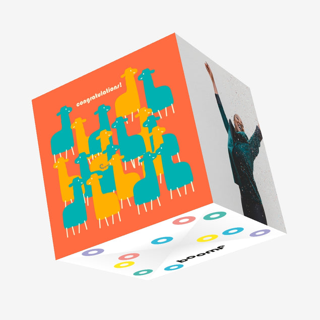 Blue And Yellow Llamas On An Orange Background Congratulations Confetti-exploding Greetings Card