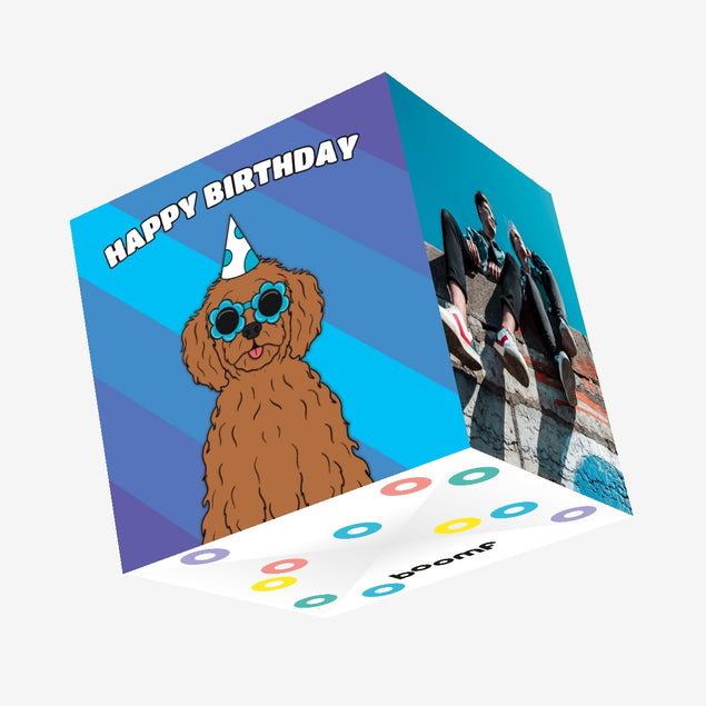 Cool Cockapoo Dog Birthday Confetti-exploding Greetings Card
