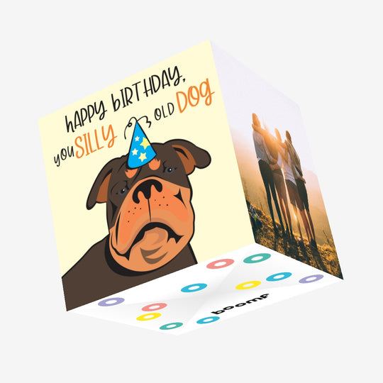 Happy Birthday You Silly Old Dog Confetti-exploding Greetings Card