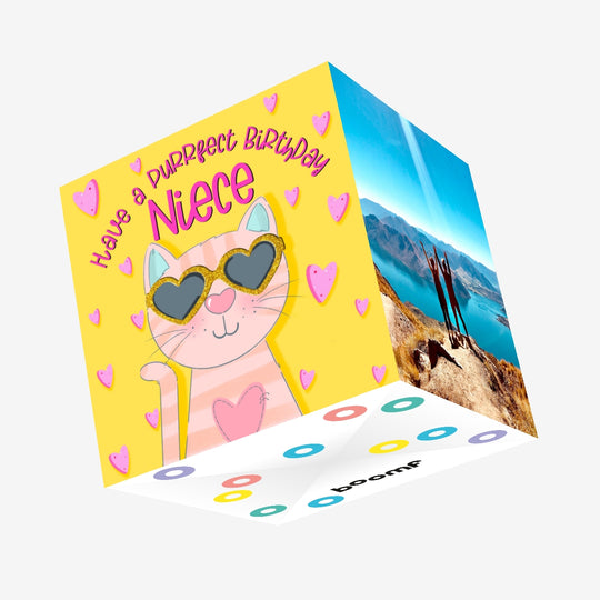 Have a Purrfect Birthday Niece Cool Cat Confetti-exploding Greetings Card