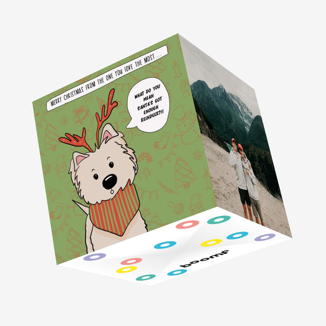 Merry Christmas Puzzled Westie Confetti-exploding Greetings Card
