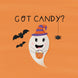 Got Candy Halloween Card