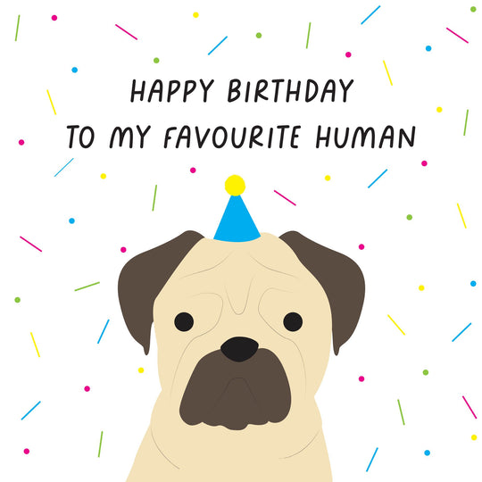 Happy Birthday To My Favourite Human Pug Card