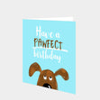 Have A Pawfect Birthday Card