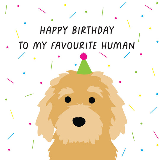 Happy Birthday To My Favourite Human Lagotto Romagnolo Card