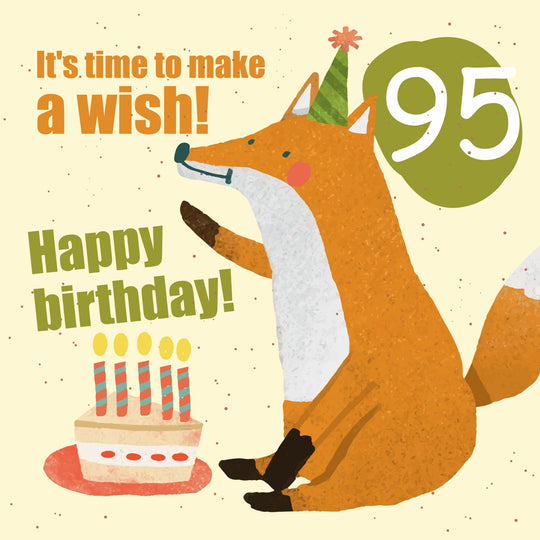 Make a Wish 95th Birthday Card