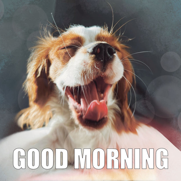 Good Morning Beagle Card