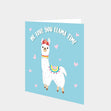 Me Love You Llama Time Card