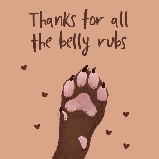 Thanks For All The Belly Rubs Card