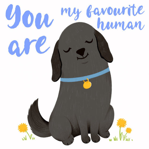 Black Labrador You're My Favourite Human