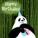 Panda With A Cake Happy Birthday