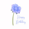 Blue Lovely Flower Happy Birthday