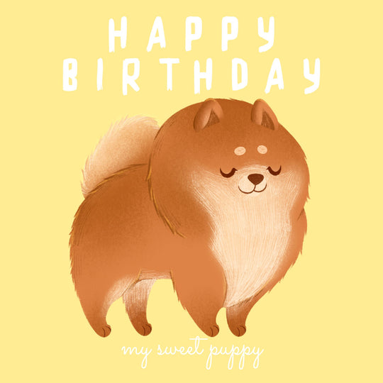 Happy Birthday My Sweet Puppy Pomeranian Card