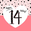 Yippee 14 Today! Birthday Card