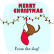 Merry Christmas Dog In A Stocking Card