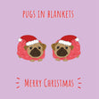 Pugs In Blankets Christmas Card