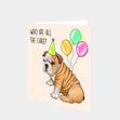 Who Ate All The Cake Shar Pei Card