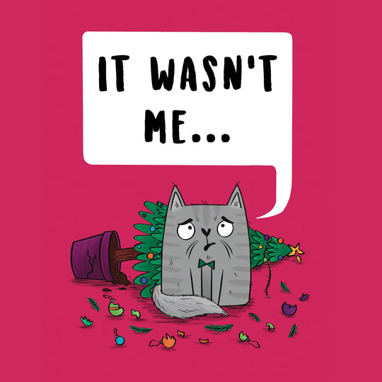 Funny Guilty Cat Christmas Card