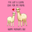 I've Got A Llama Love For My Mama Bomb 3D Cube Card