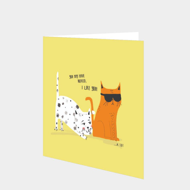 You May Have Noticed I Like You Card